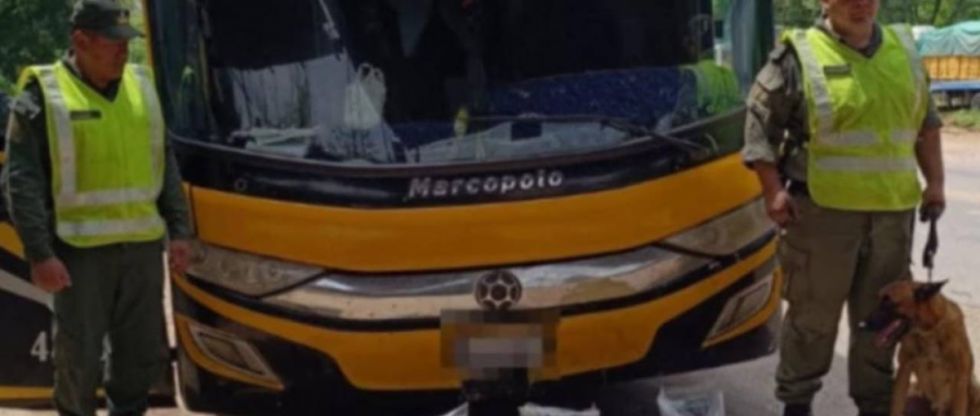 La Felcn secuestra 40 vehículos y precinta buses en la terminal de Santa Cruz