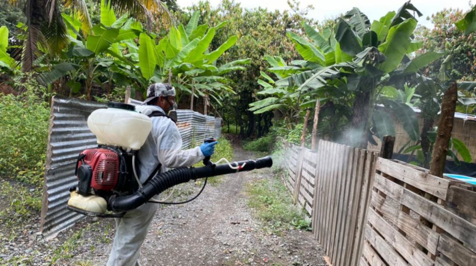 Dengue: Reportan 27 muertos en Ecuador