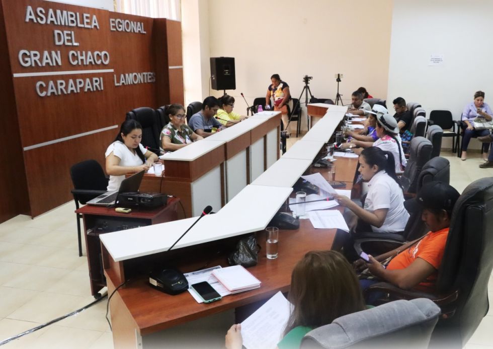 Como en la ALDT, sugieren achicar la Asamblea Regional del Chaco 