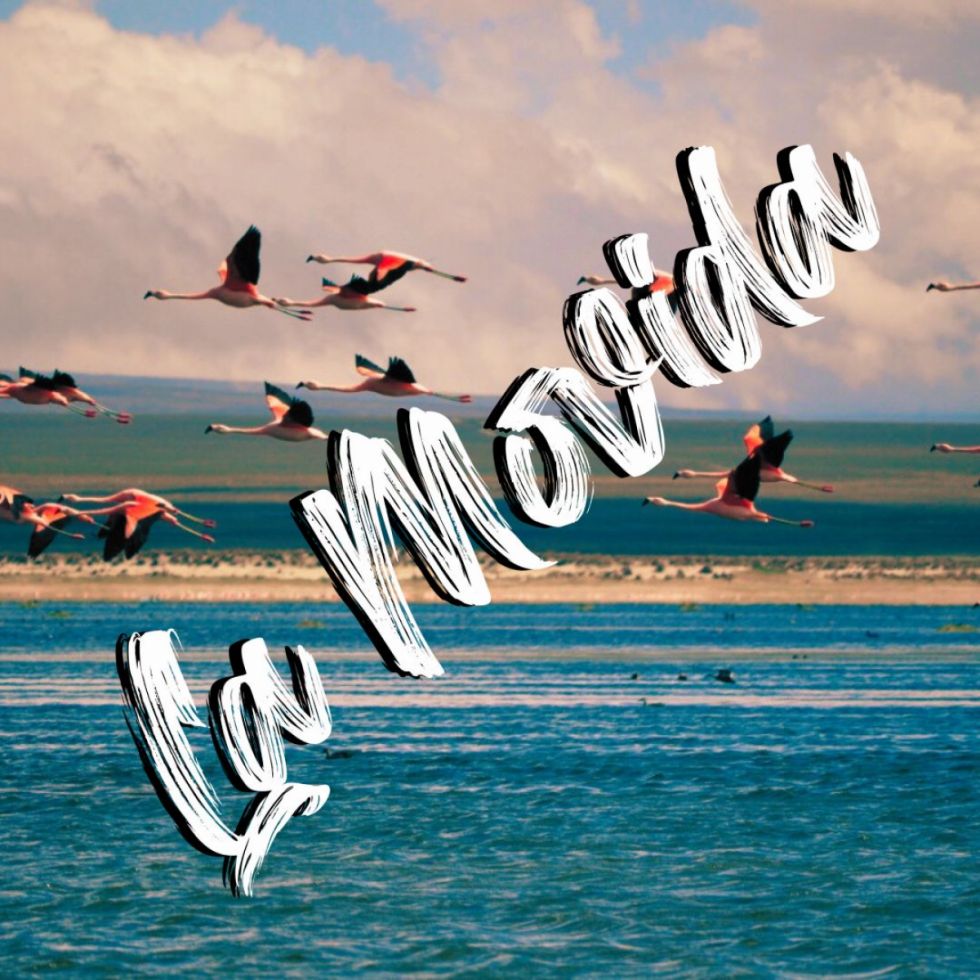 Esta es La Movida del mes de mayo