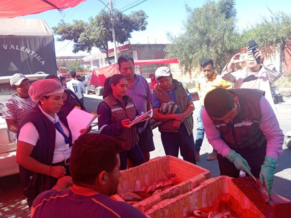 Por los parásitos, recomiendan cocinar el sábalo a 60 grados 