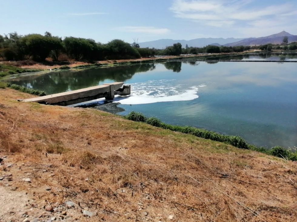 Lagunas de oxidación: Fiscalía admite denuncia contra Cosaalt