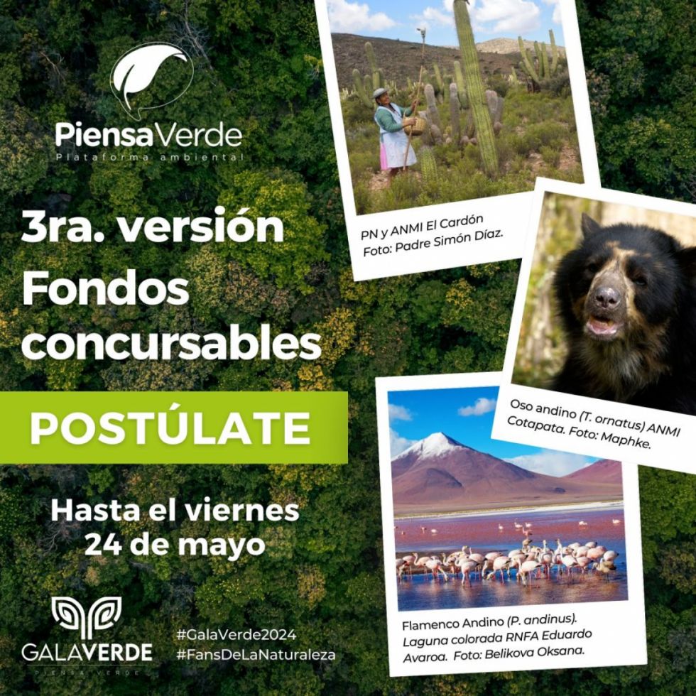 ¡Atención a la Tercera versión de los Fondos Concursables Piensa Verde!