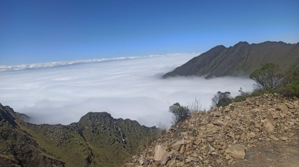 Tarija: Senamhi emite alerta por descenso de temperaturas, hay riesgo de heladas en cuatro municipios