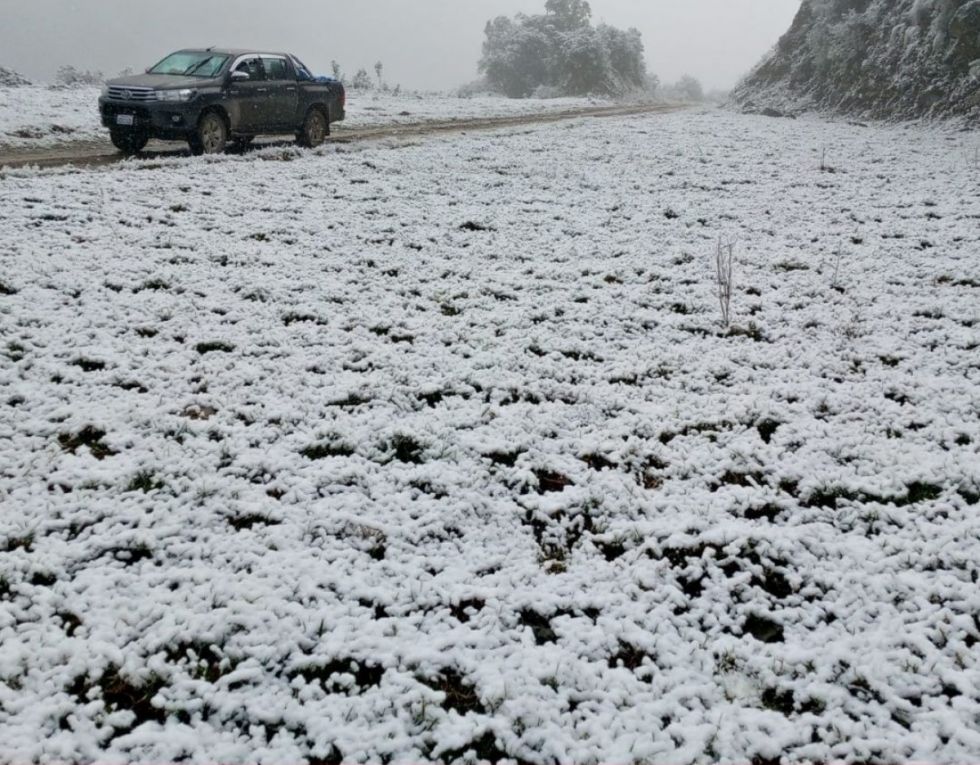 Fotos: Nieve alcanza la cumbre de la Reserva de Tariquía en Tarija