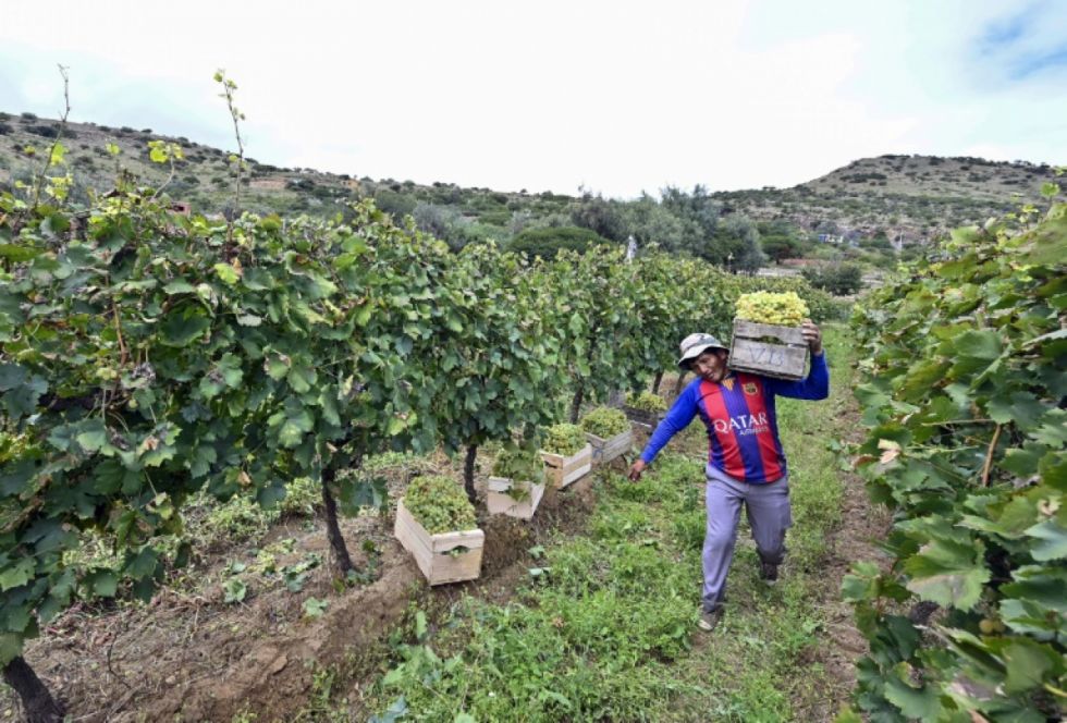 “Apoya Sama”, la alianza por el agua que une a las bodegas 