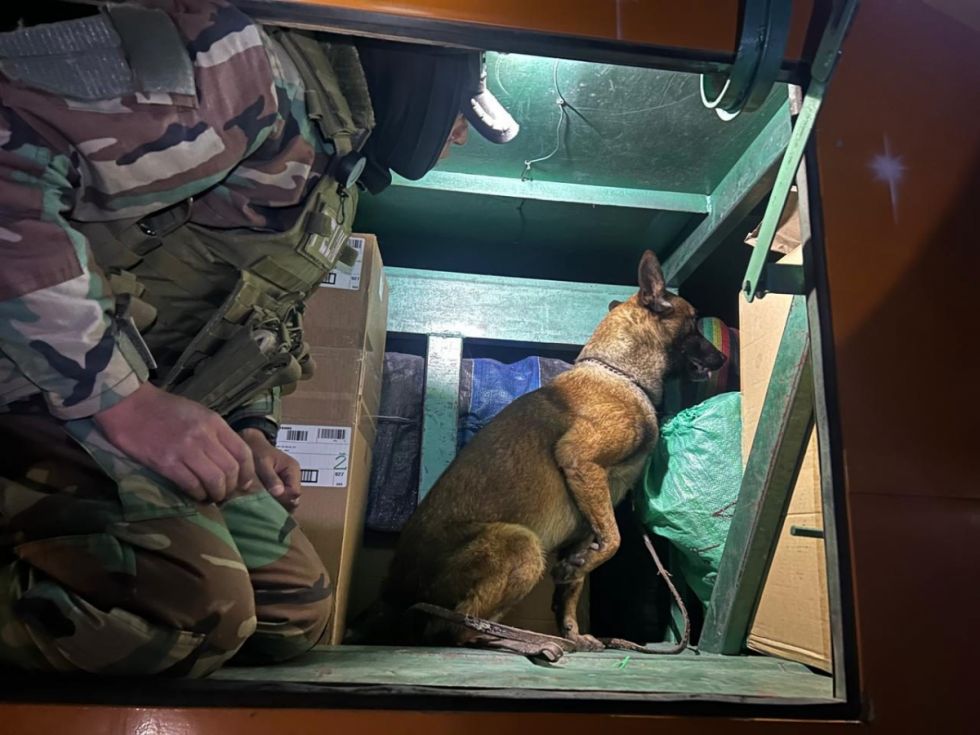 Incautan 124 kilos de marihuana en bus con destino a Tarija
