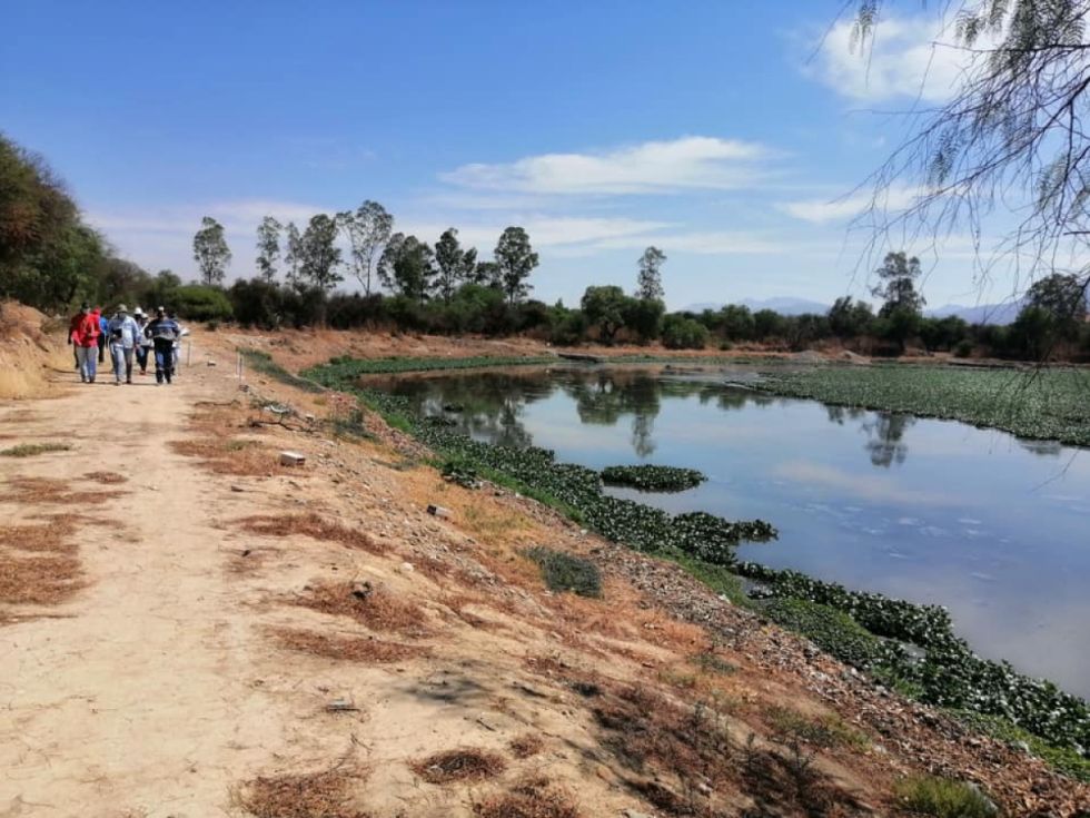 Denuncias por las lagunas de oxidación sacuden a Cosaalt