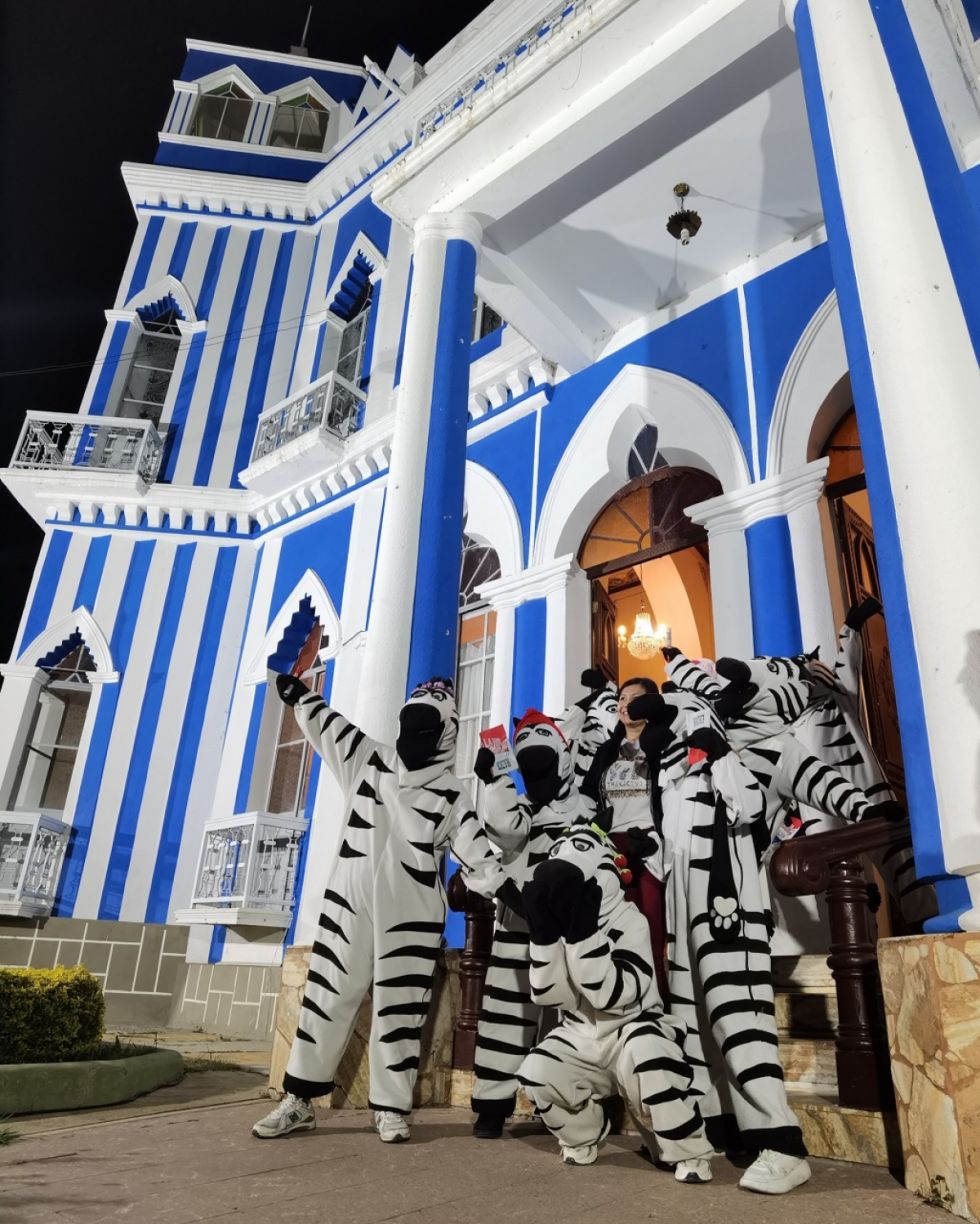 Las cebras hacen de las suyas en el Castillo Azul.