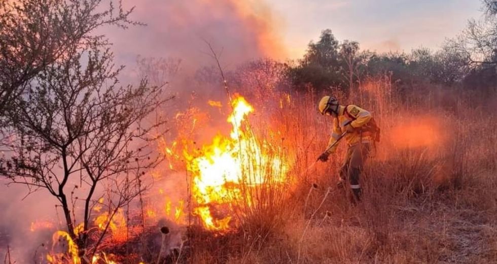 La Alcaldía pone en marcha una campaña contra incendios forestales 
