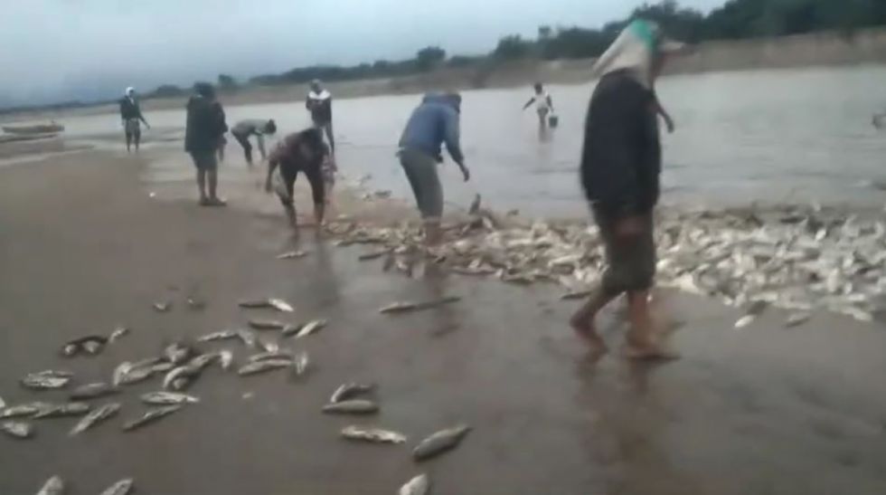 Escasea el sábalo en Villa Montes debido a las bajas temperaturas