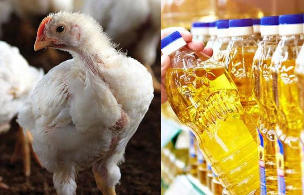 Lucho Arce quiere producir aceite y pollo en La Paz: "No tenemos por qué comprar a otros departamentos"