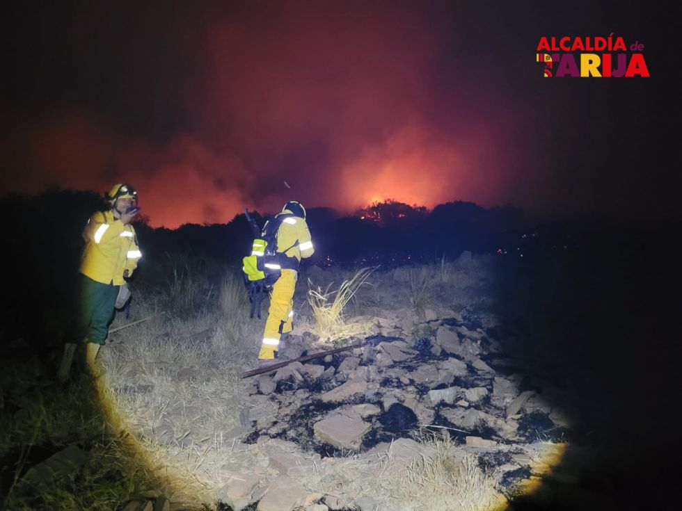 Tarija: Incendio amenazaba viviendas y fue provocado al intentar recolectar miel