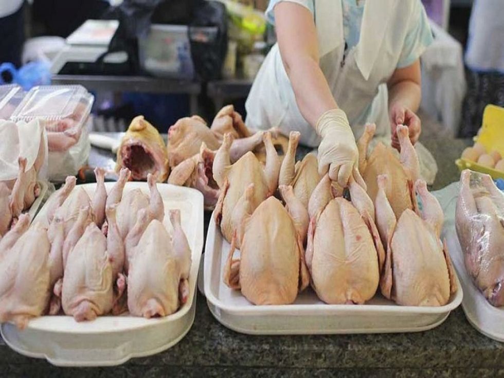 Sube el precio del kilo de pollo en Tarija