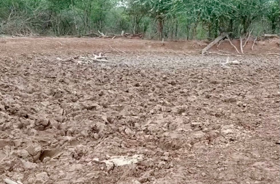 Sequía y helada afectan a 39 municipios