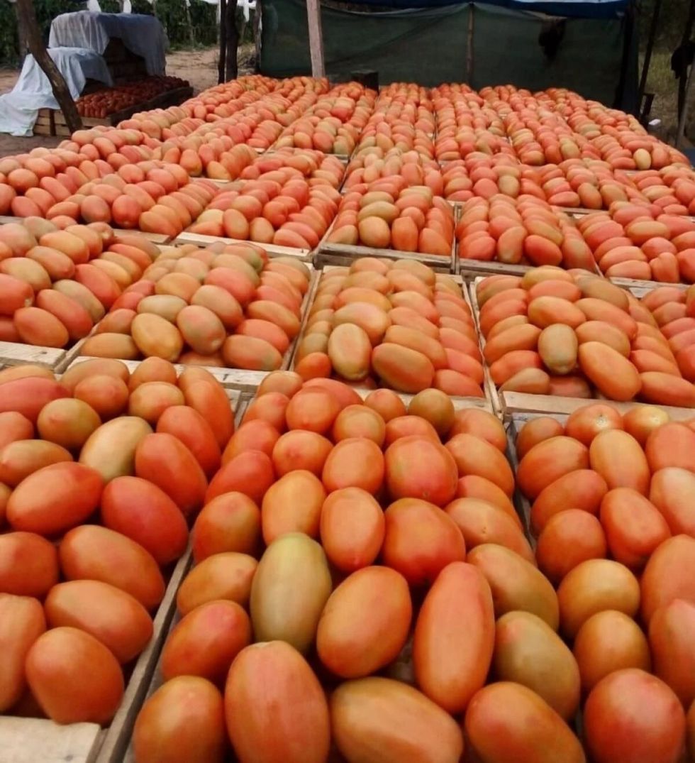 Tarija: Población cuestiona que el dinero no alcanza para compras en el mercado
