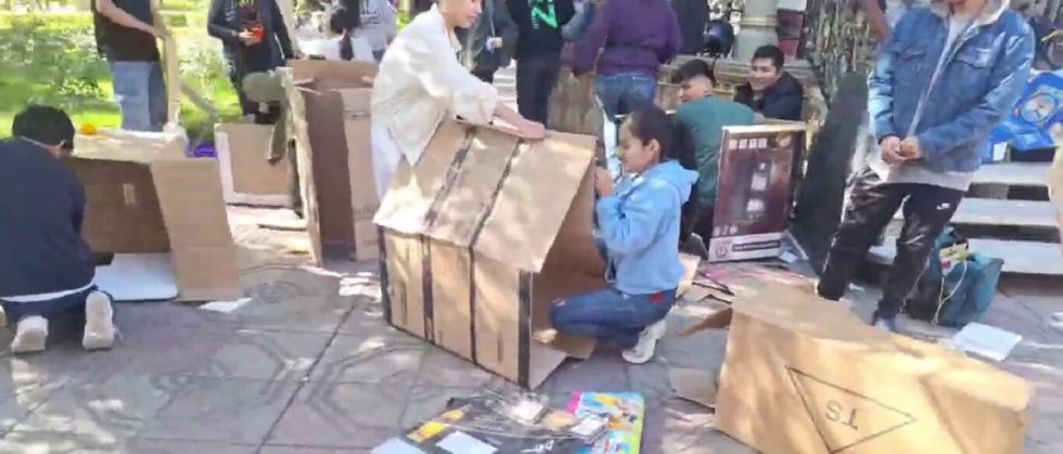 Tarija: Jóvenes fabrican casas para perros callejeros