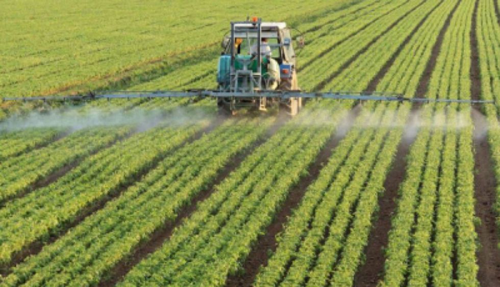 La CAO plantea 5 acciones para mejorar la economía