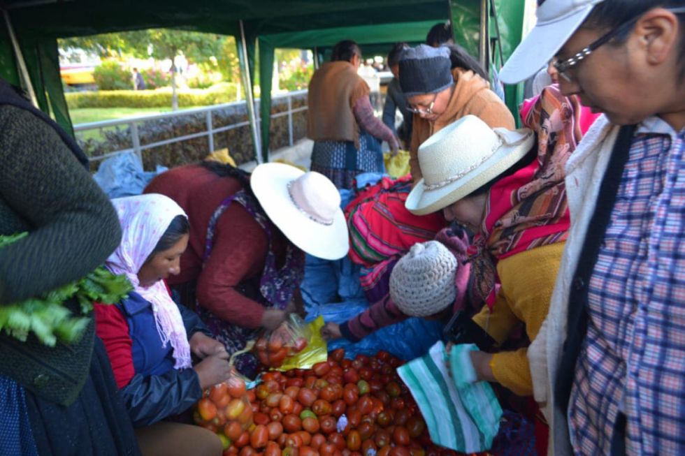 El Gobierno pide evitar el acopio de alimentos 