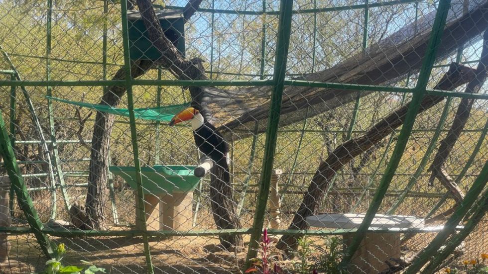 Bioparque: Adecúan las madrigueras para proteger a los animales del frío 