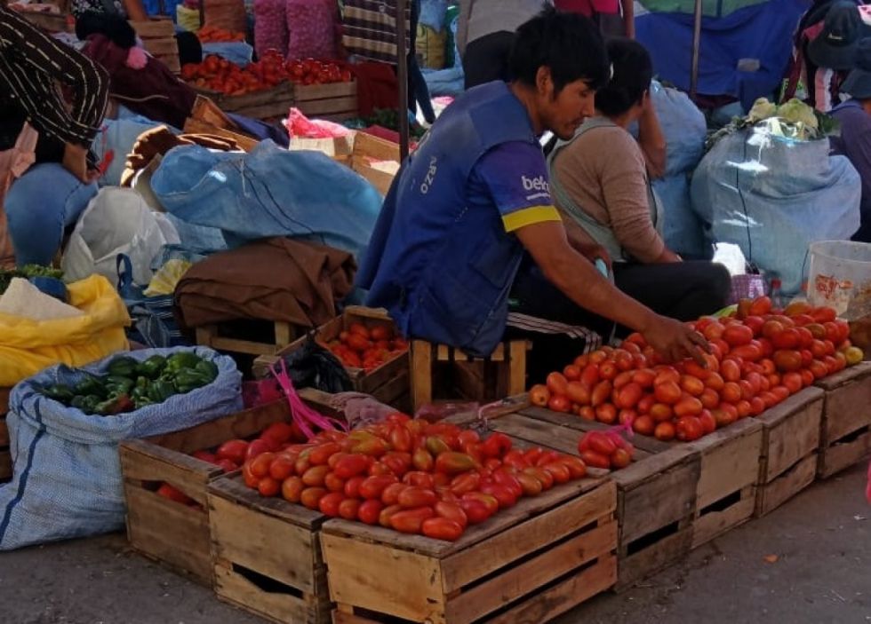 Tarija: El precio de las verduras registró un leve descenso 