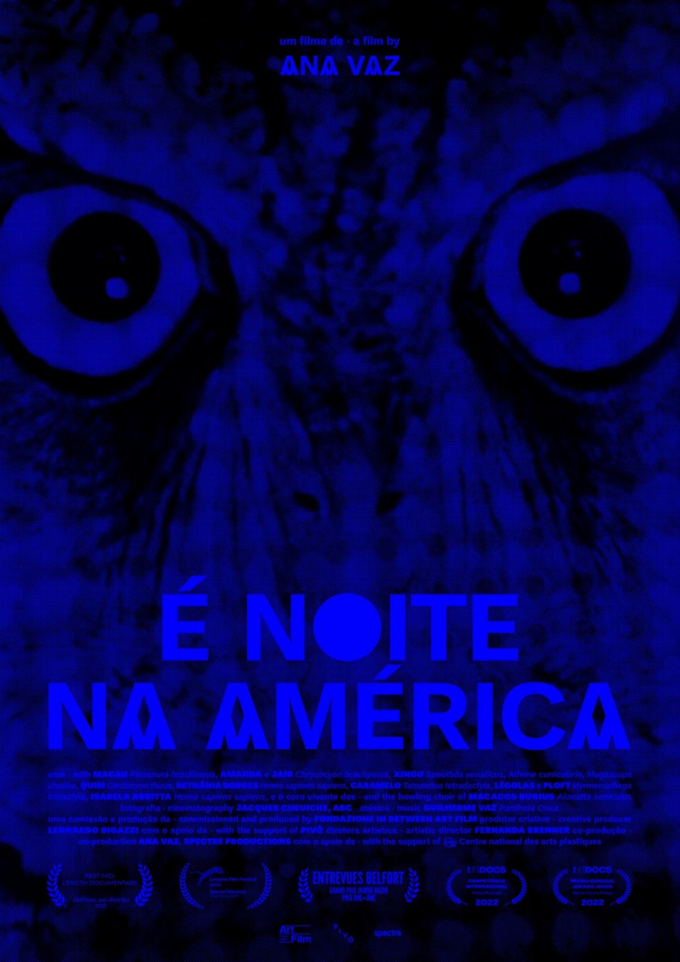 La Movida recomienda: É noite na América