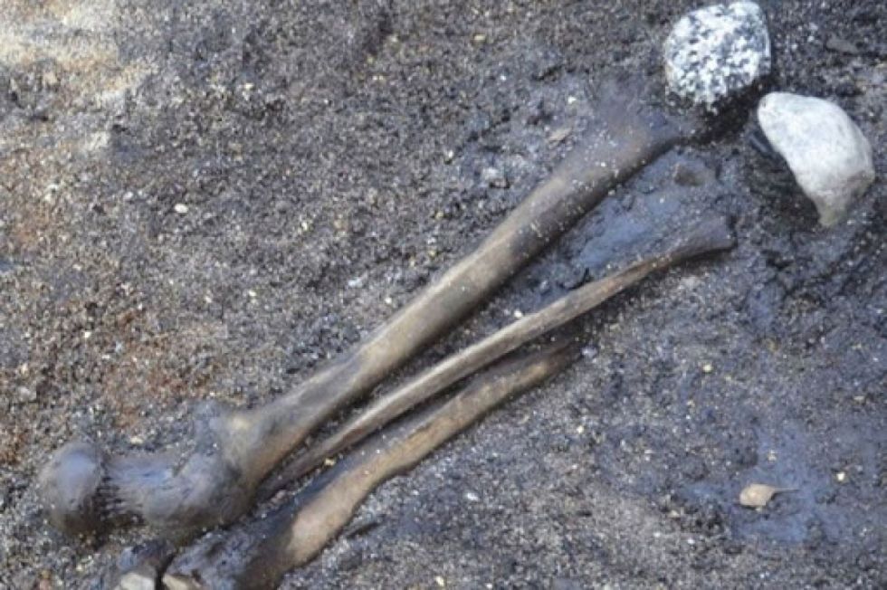 Tarija: Huesos hallados en cueva tienen al menos cinco años