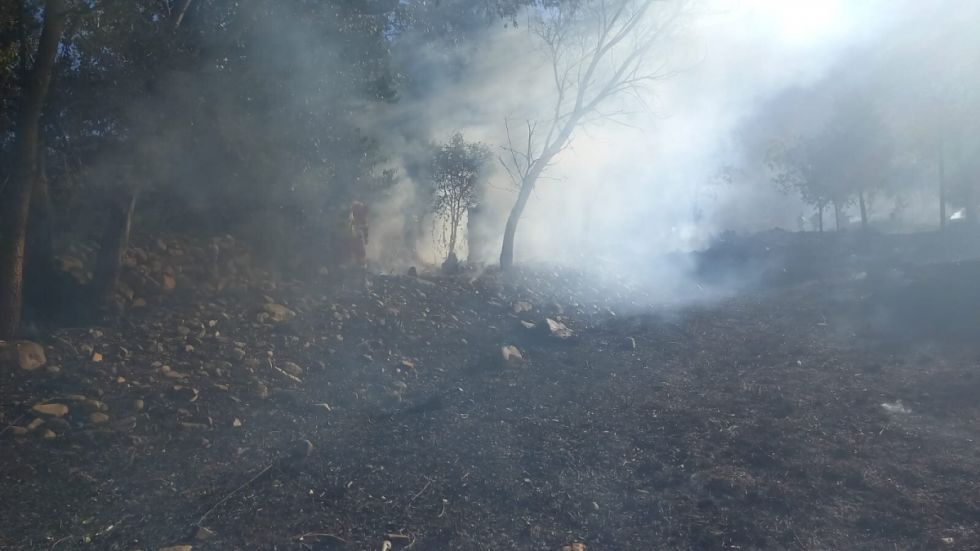 Lo último: Controlan el fuego en el Rincón de la Victoria
