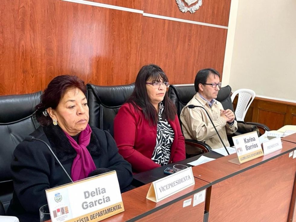 Tarija: Retoman análisis de la ley para la salud mental 