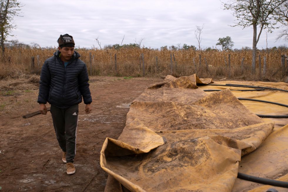 Indígenas esperan apoyo para su producción agrícola