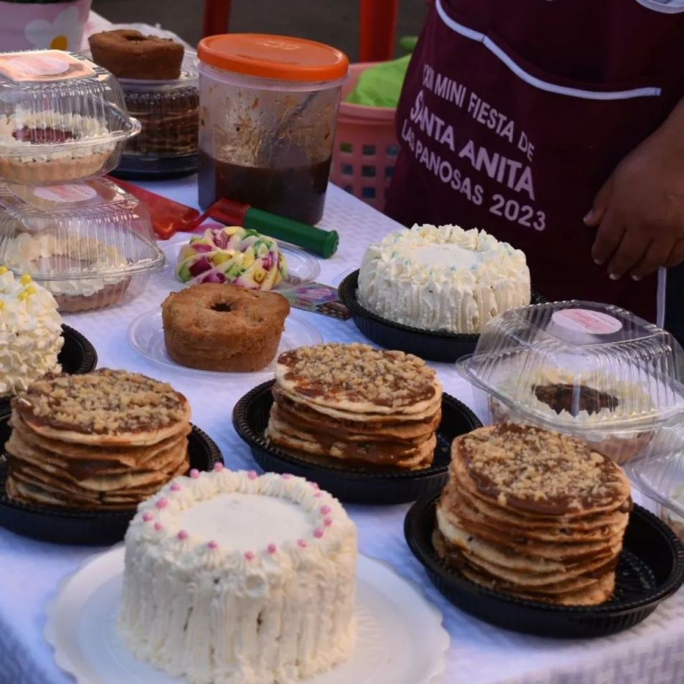 Este domingo se vivirá la XXIV mini "Fiesta de Santa Anita" en el barrio Las Panosas de Tarija