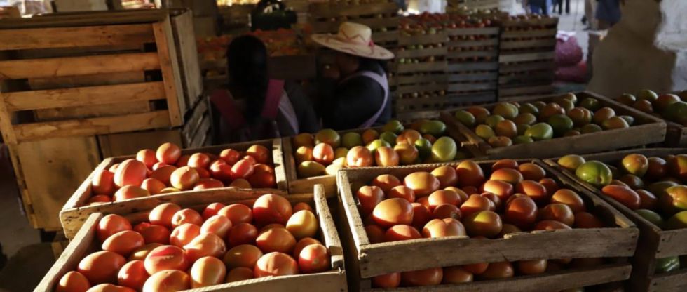 Vuelve a subir el precio del tomate en los mercados de Santa Cruz y Cochabamba