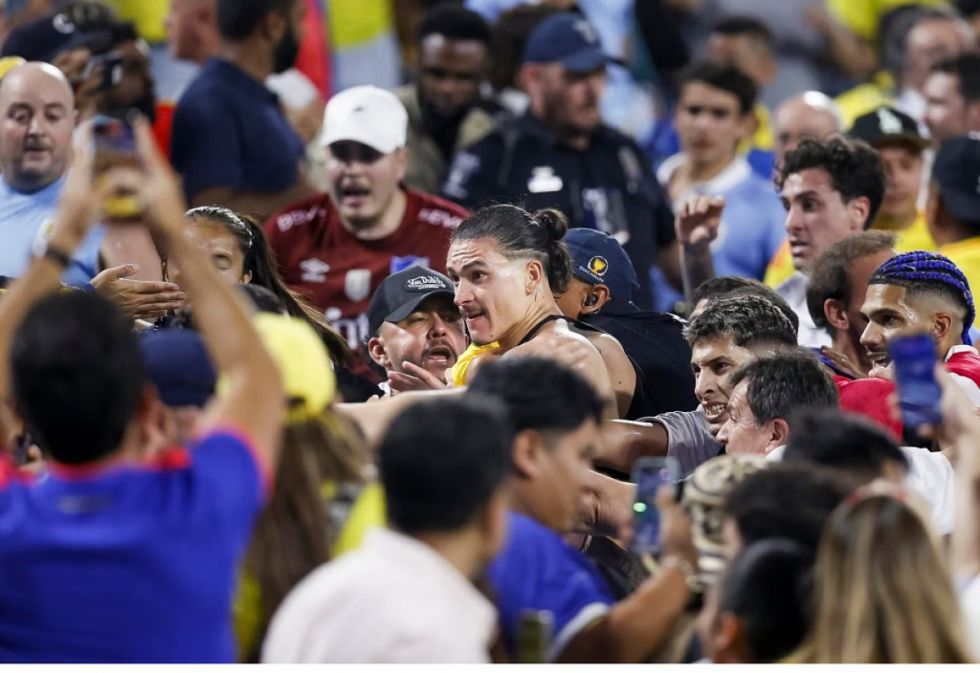Darwin Núñez se peleó con hinchas colombianos en la tribuna (Video)