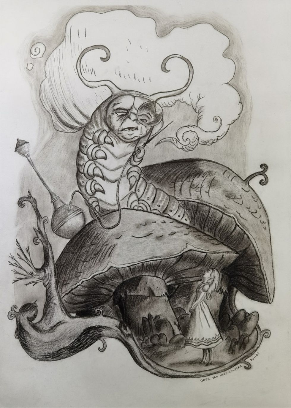 Pumba, de Orfa Van Waes Campero