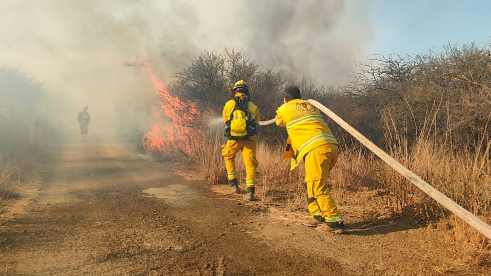 Incendio dañó 40 hectáreas en Tomatas Grande