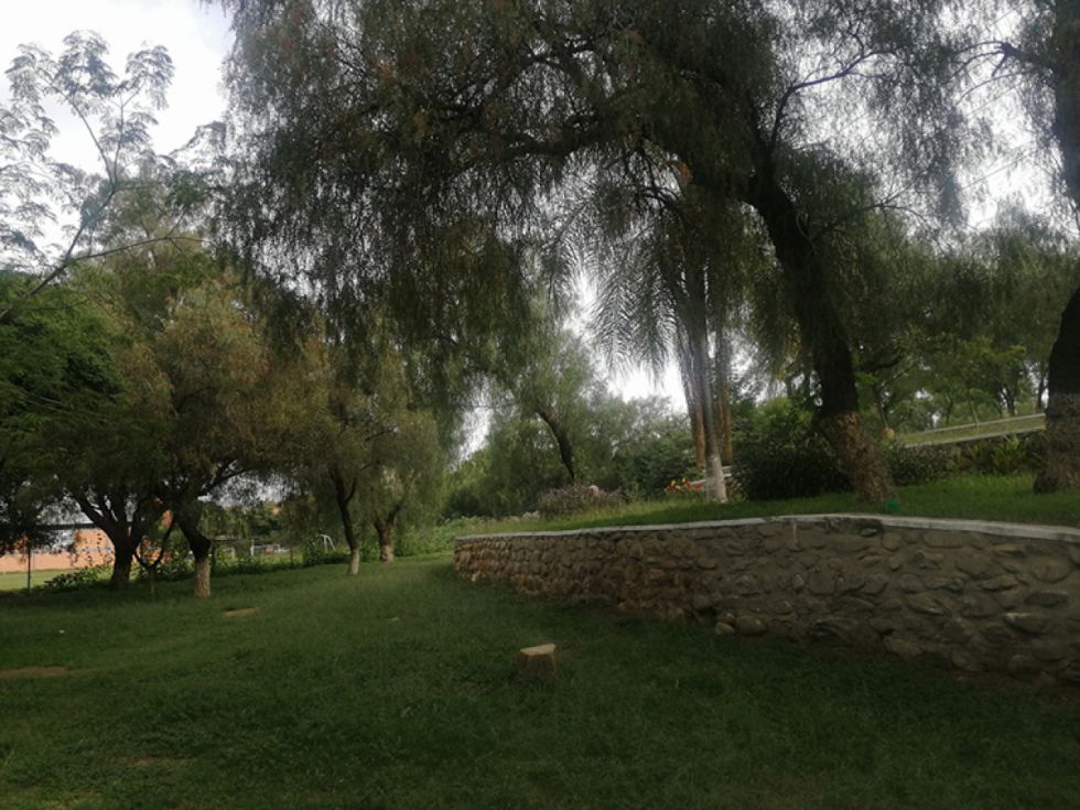 Analogías