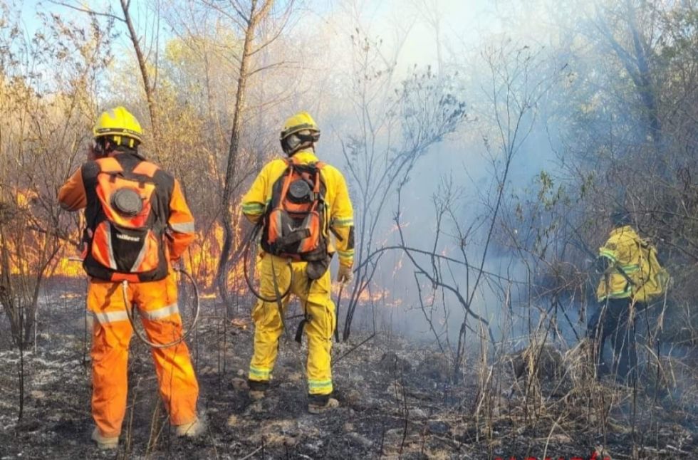 Alerta por vientos enciende las alarmas por riesgo de incendio