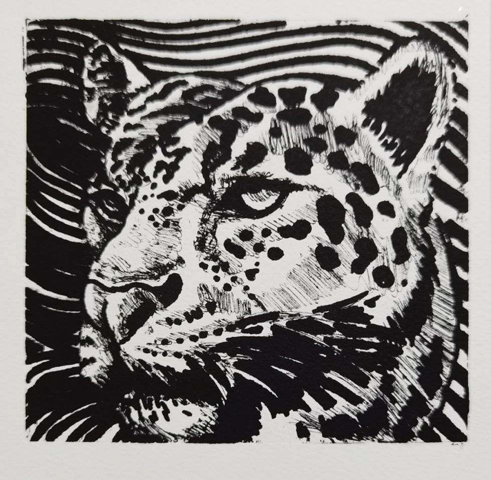 Jaguar