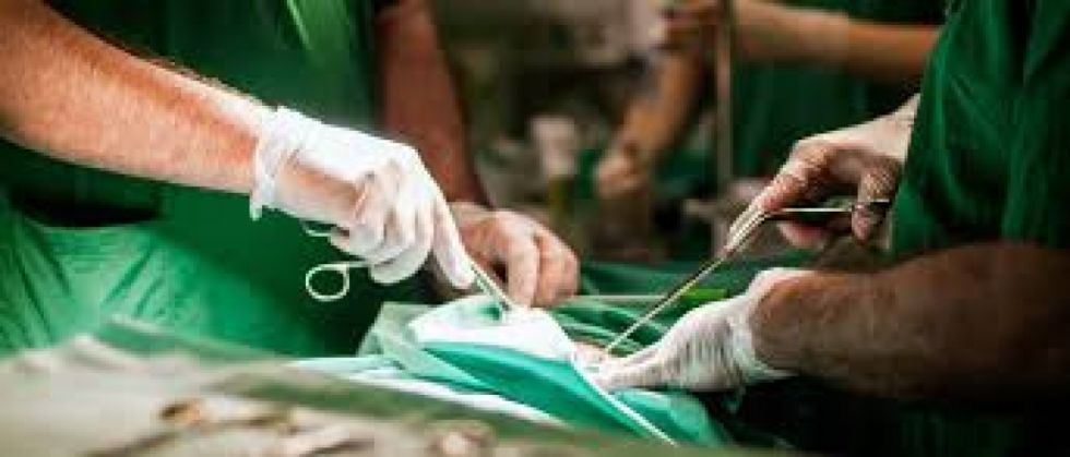 Mujer embarazada y su bebé mueren en el hospital de Bermejo 