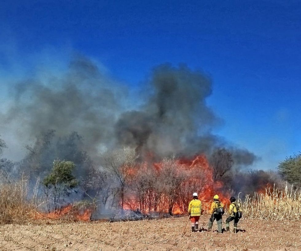 San Lorenzo: Incendio mató ganado y consumió granjas