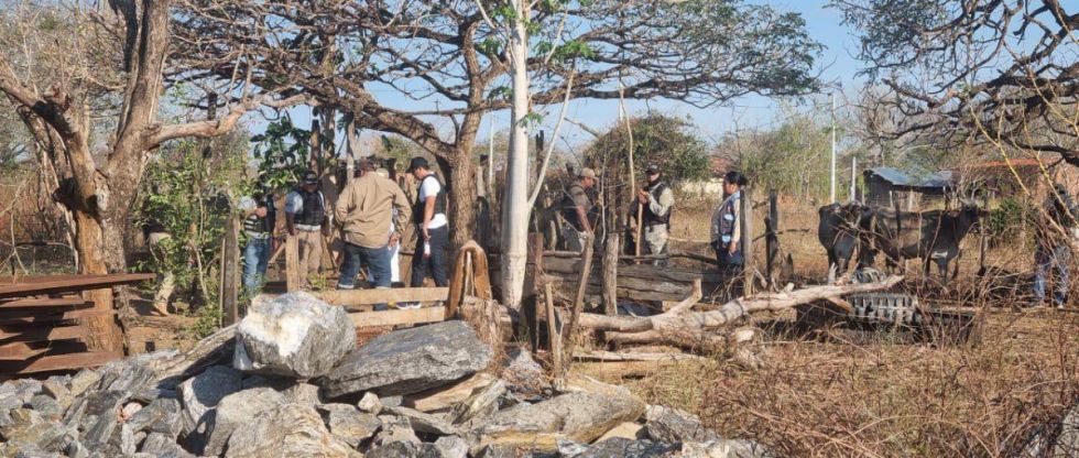 Infanticidio: Adolescente ya había sacrificado animales "como ofrendas" 