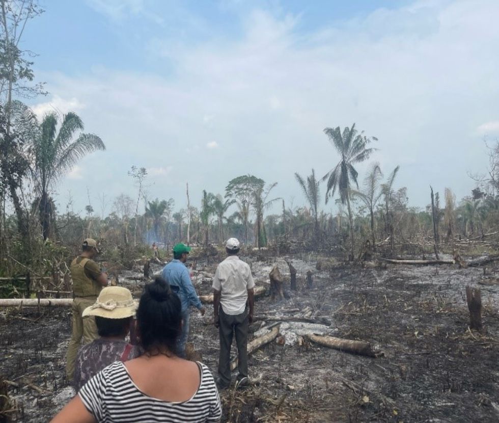 Incendios: Suman 51 los procesos abiertos por la ABT