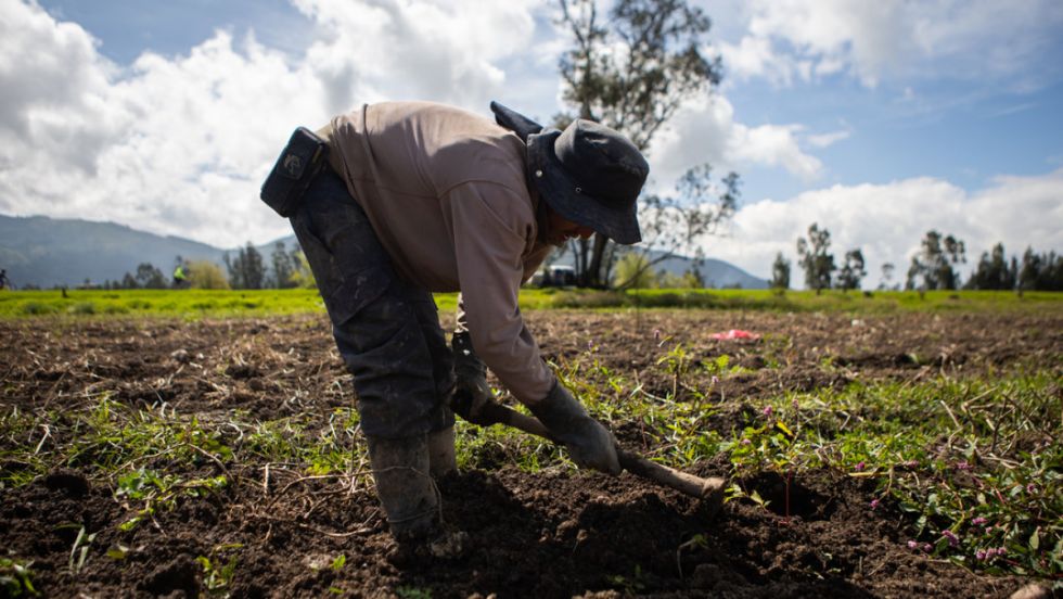 Colombia: debaten la "expropiación exprés" de tierras