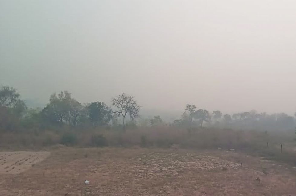 Incendios arrasan con más de cuatro millones de hectáreas en Bolivia 