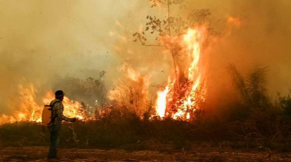 Arce anuncia la contratación de aviones cisterna para combatir los incendios