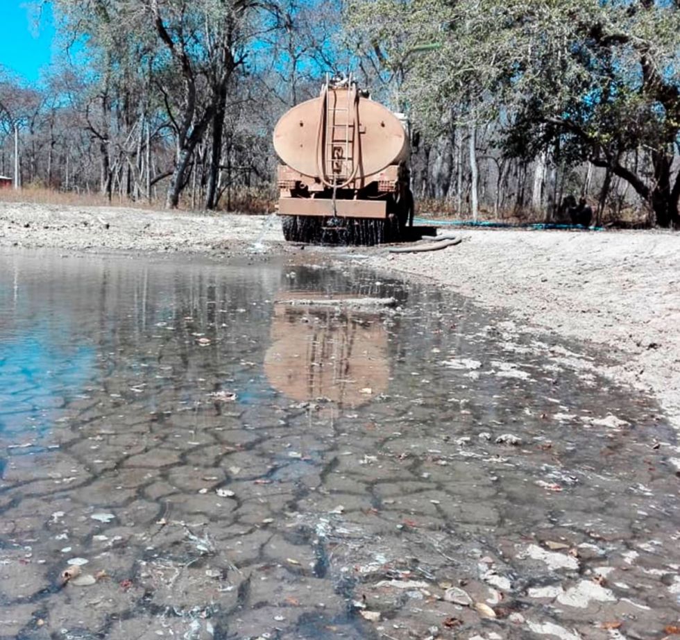 Sequía merma la producción de ganaderos y viticultores del Chaco 