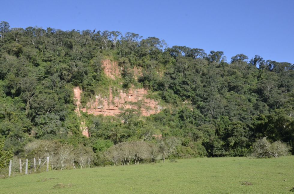 Tarija entre los departamentos más afectados por la deforestación