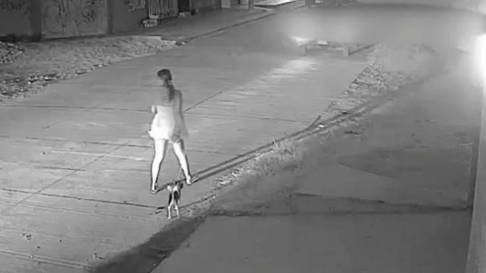 Una mujer embarazada es agredida y asaltada con brutalidad