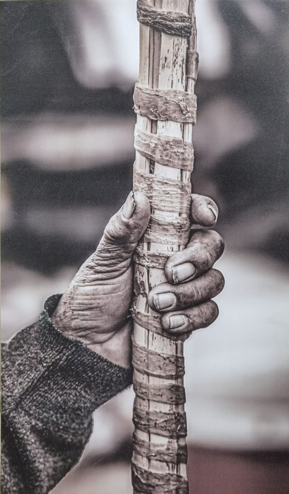 Promesa, fotografía de Darquino. Precio base: Bs.800