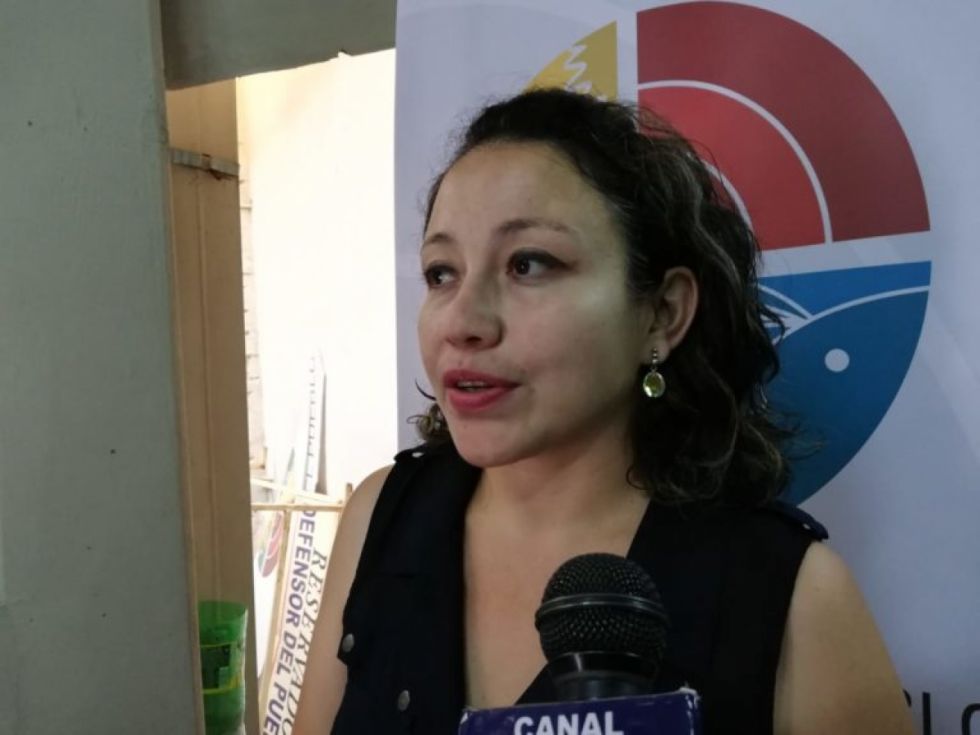 Carola Romero en carrera por la Fiscalía General